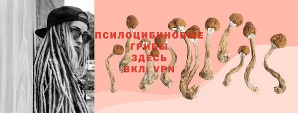 прущие крисы Аркадак