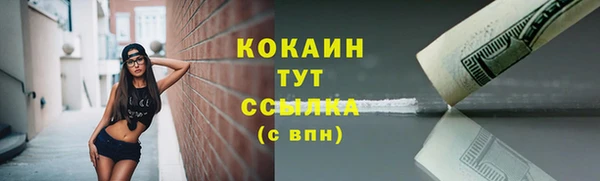 прущие крисы Аркадак
